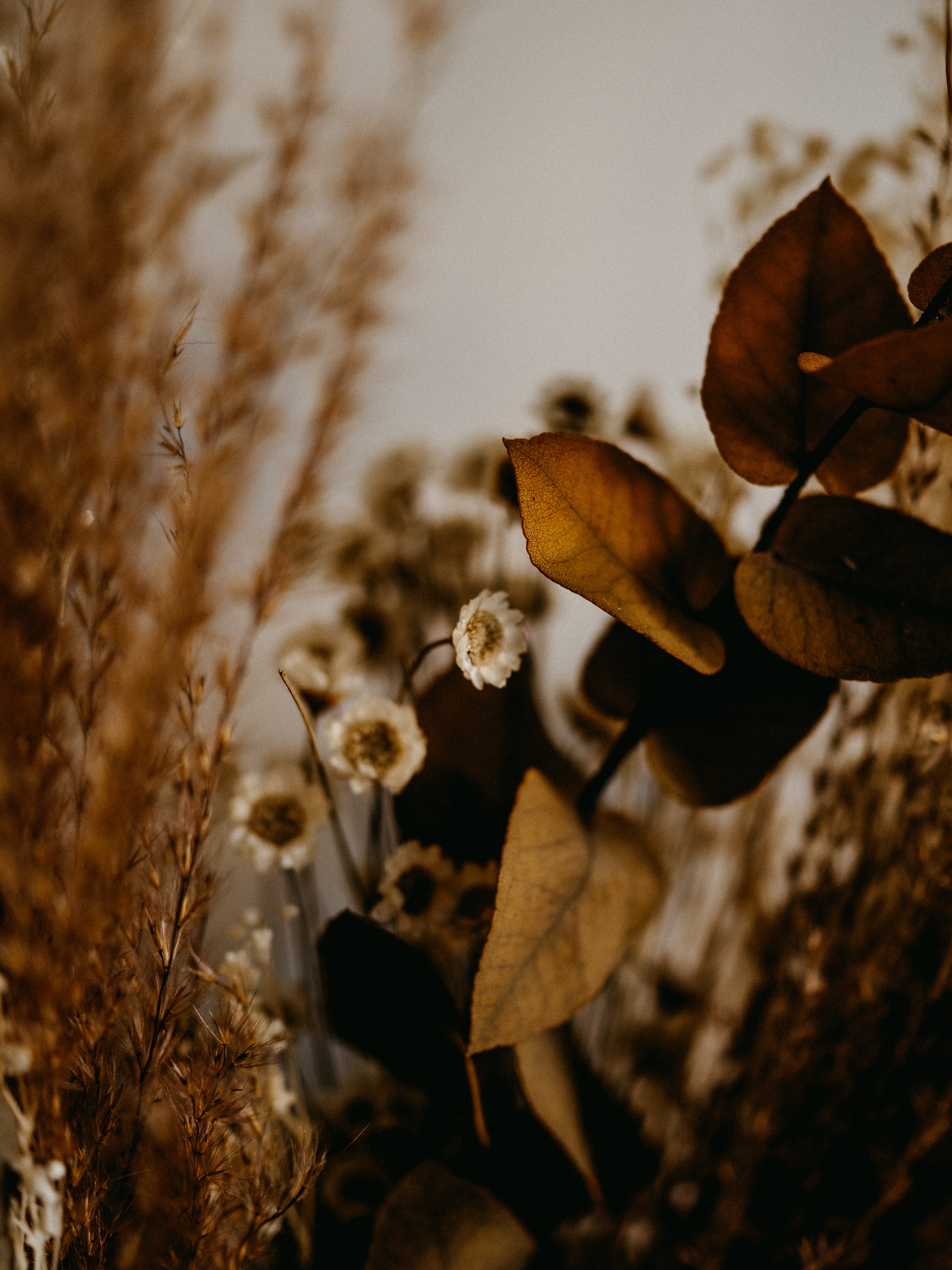 Image by Annie Spratt