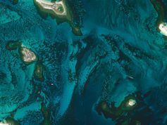 Marine protected areas: connecting hope