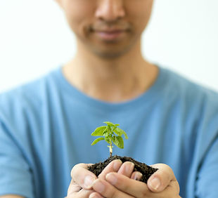 Image by Jennifer Delmarre