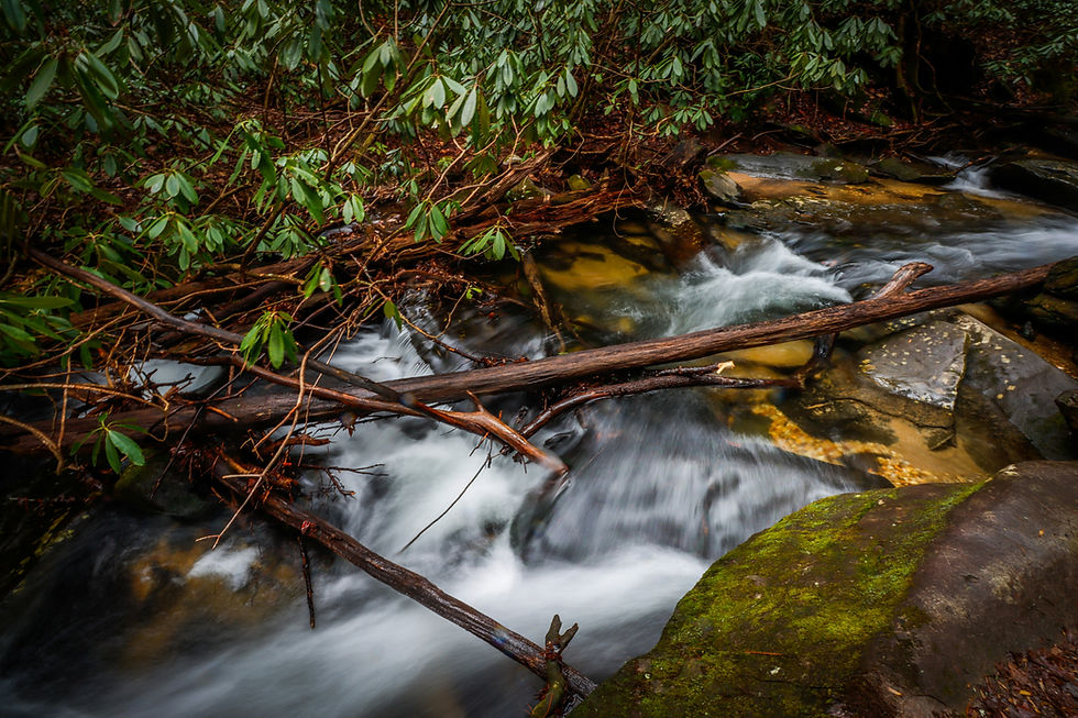 North Georgia Waterfall