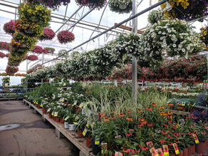 10 Easy Ways to Attract Customers to your Nursery