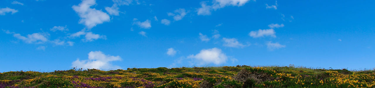 Image by Nabih El Boustani