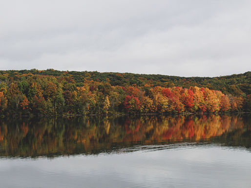 The 5 Best Hikes In Connecticut