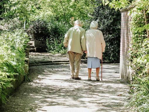 Fighting Frailty- Addressing failure to thrive in seniors