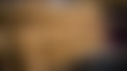 The Skeletal System: Structure, Alignment, and the Language of Stability