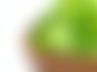 Pflücksalat, wie geht das?