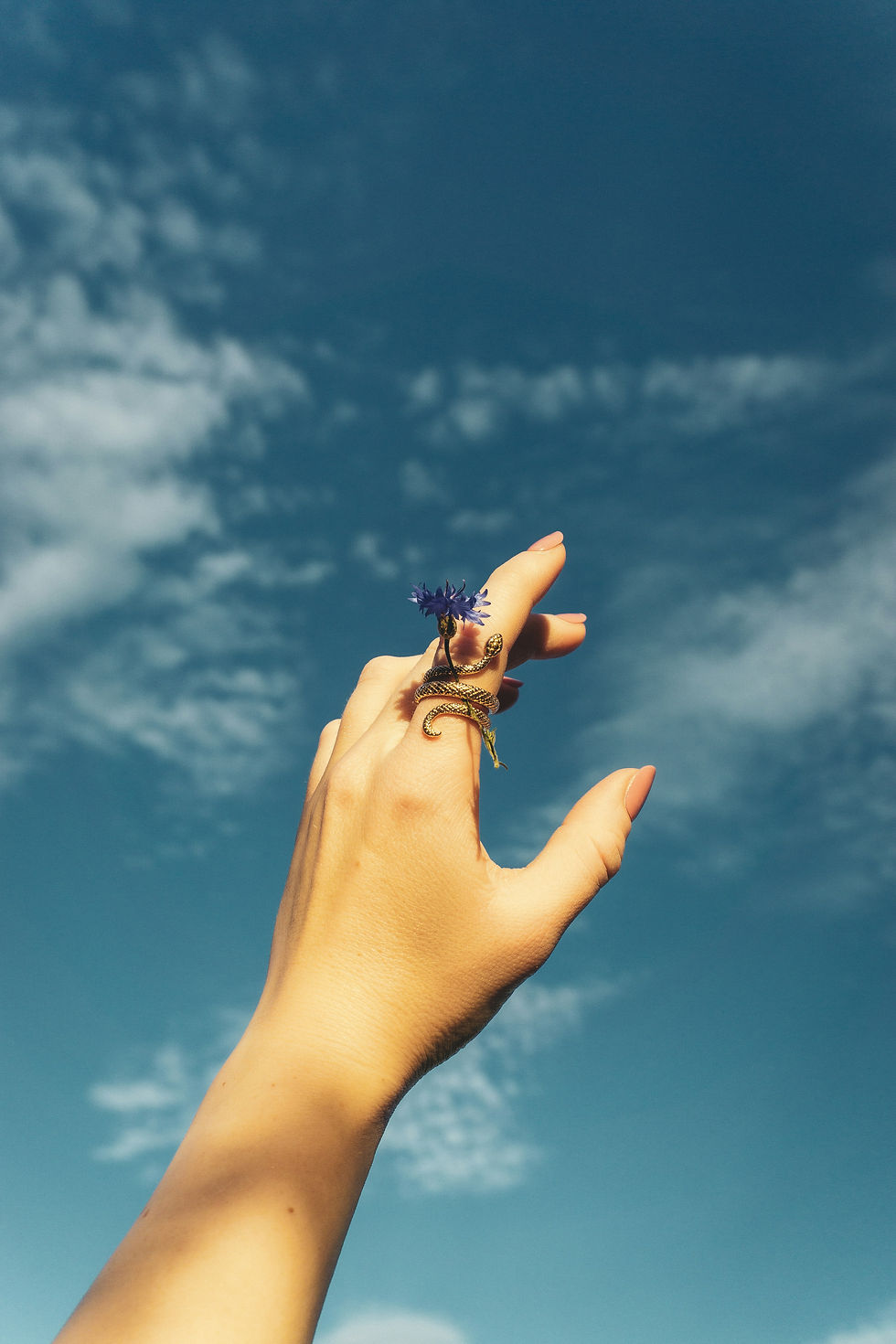 Image by Sindy Süßengut