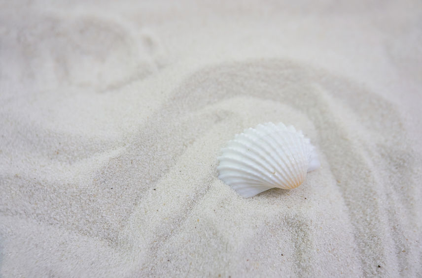 Image by Crystal de Passillé-Chabot