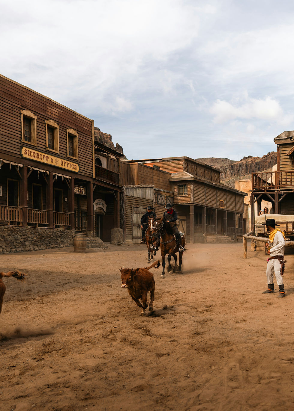 A Classic Cattle Drive Comes Back to Folsom