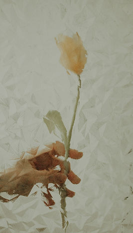 Hand holding a yellow-orange flower behind frosted glass, creating a soft, textured effect. Background is pale and abstract.
