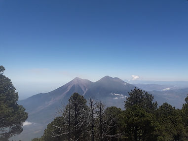 Image by José Barrios