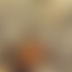 soft focused light symbolizing recognizing intuition in the moment
