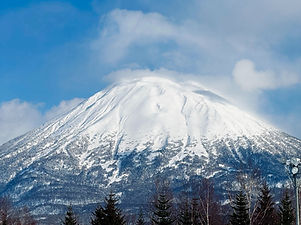 Image by Catriona Palo