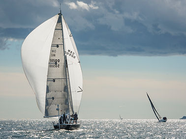 Image by Jamie Morrison