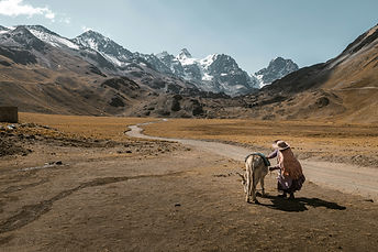 voyage en bolivie avec guide francophone