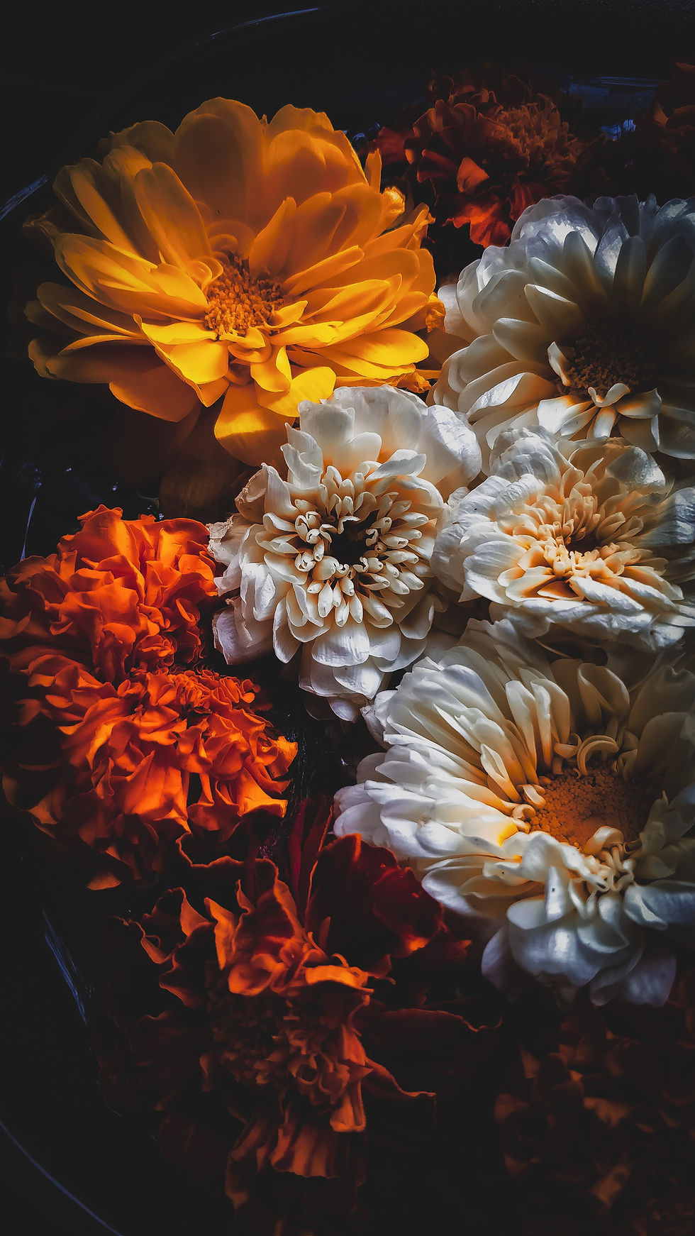 Image by Unma Desai