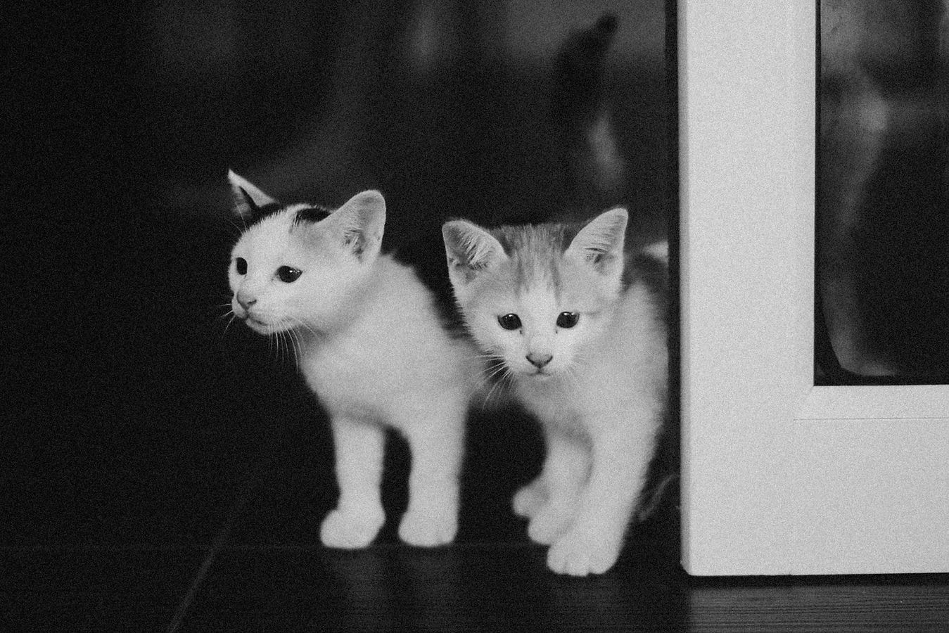 Image by Alexey Demidov