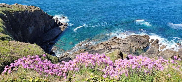 Séminaire écoresponsable bretagne
