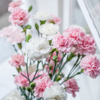 Image by Magda Pawluczuk