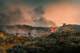 Image by Samuel Jerónimo