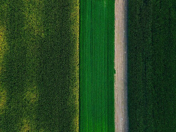 Image by Miha Rekar