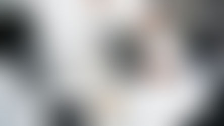 בינה מלאכותית לרואי חשבון