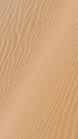 Image by Meriç Dağlı