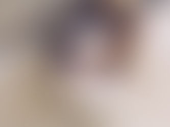 Exploring the History of the Shih Tzu Breed