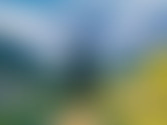 Filming in Landscape or Portrait?