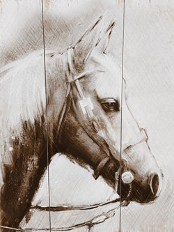 Image de Jon Tyson
