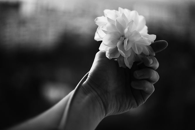 Image de Liana S