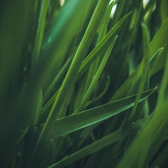 Image by Eugene Golovesov