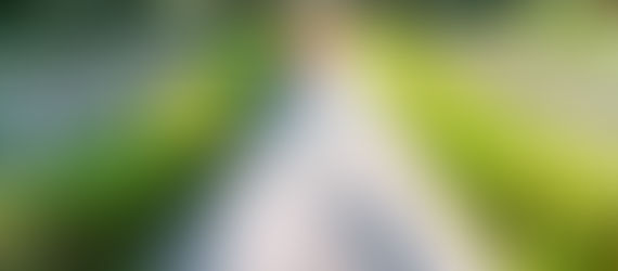 Boost Your Energy Levels Naturally with Holistic Massage in Richmond VA