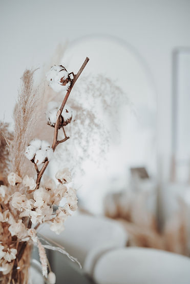 Image by Jasmin Ne