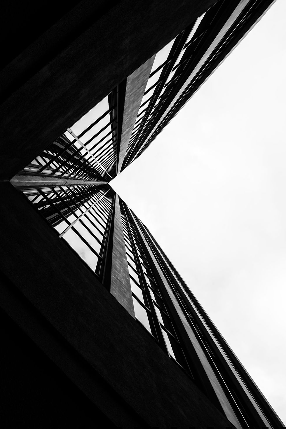 Image by Shunya Koide