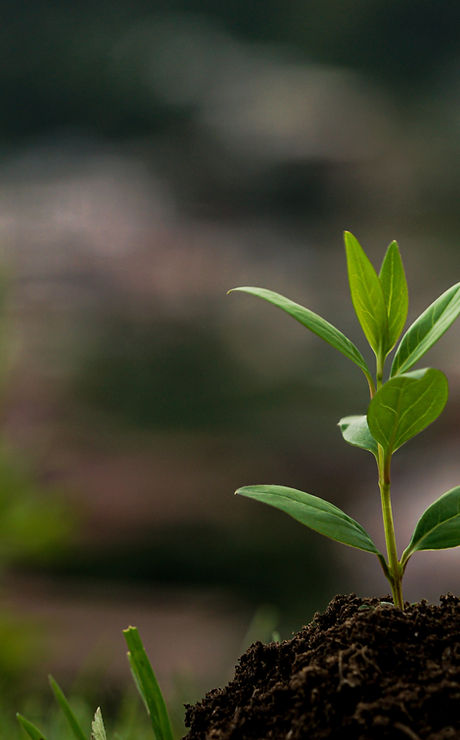 Image by Pema Gyamtsho