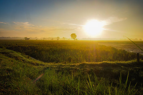 Image by Galih Setyo Putro