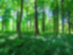 Yin Flow For Embodiment