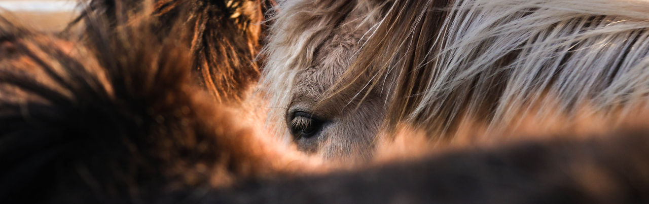 Image by Jeremy Bishop