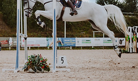 Image by Valerie Semenova