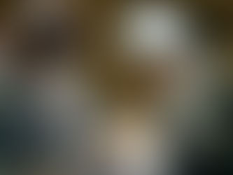 Comprehensive Plastic Surgery Services In Minneapolis, MN