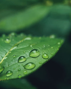 dikey tarım otomasyon vertical farmin automatisation ph ec lighting control kontrol growing crop hasat verim tasarruf gelecek future agriculture sürdürülebilir