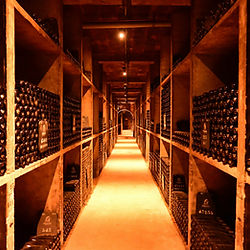 Cave d’élevage des vins du Jura à Château-Chalon