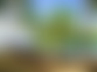 Visa de Países Amigos en Panamá