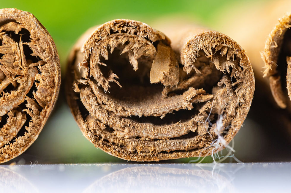 Miniatura: Aromatic woods