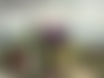 Explorer votre relation aux émotions… vraiment