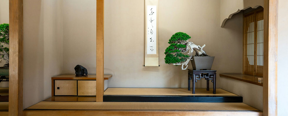 Zen classroom