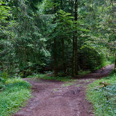 Pay Attention to Your Path (Proverbs 4:25-27)