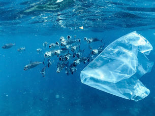 Fish swim near a floating plastic pollution bag in the blue ocean. The scene highlights pollution, with fish appearing curious or affected.