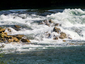 Welcome to Living Water Psychiatry: A Place for Renewal